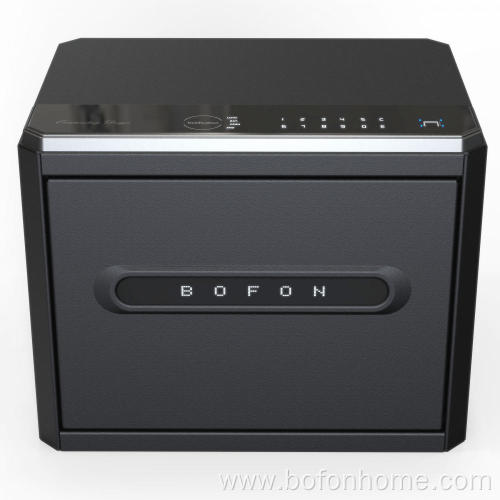 Family Fingerprint Password Security Box with Key